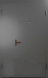 Фото двери «Техническая дверь №6 полуторная» в Сергиеву Посаду